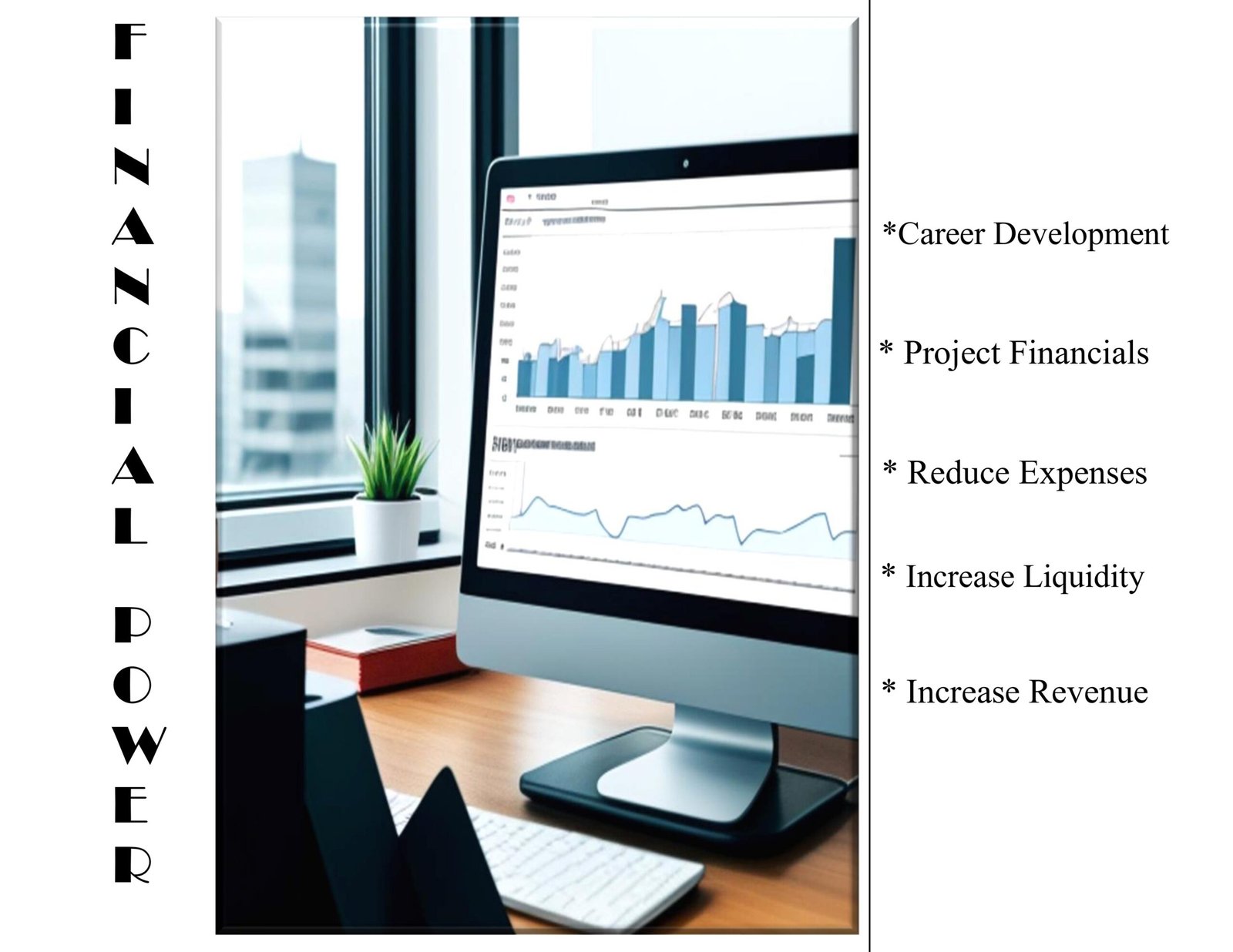 imgi_12_financial_page-0001